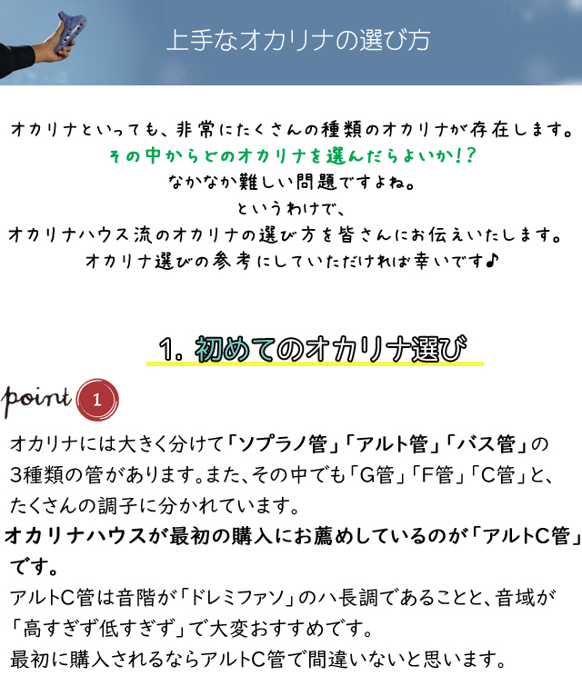 �I�J���i�̑I�ѕ��̓���