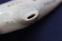 �A�P�^�@�I�J���[�i�@�j���[�}�G�X�g���@MST