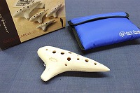 �A�P�^�@�I�J���[�i�@�j���[�}�G�X�g���@MST