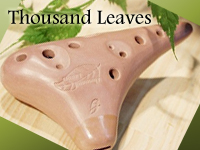 �T�E�U���h���[�u�X�E�I�J���i