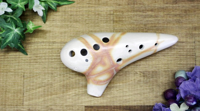 �X�I�J���i�@�\�v���mC