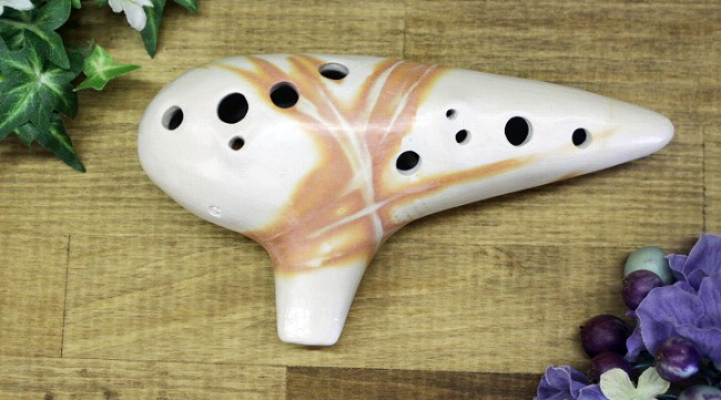 �X�I�J���i�@�\�v���mC