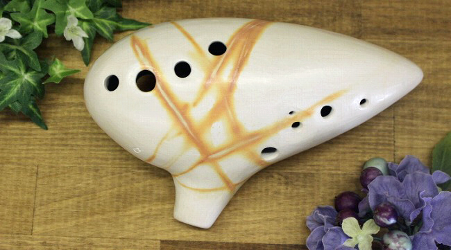 �X�I�J���i�@�\�v���mC