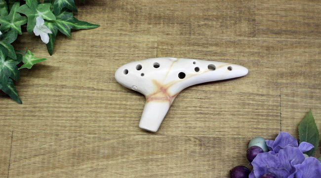 �X�I�J���i�@�\�v���mC