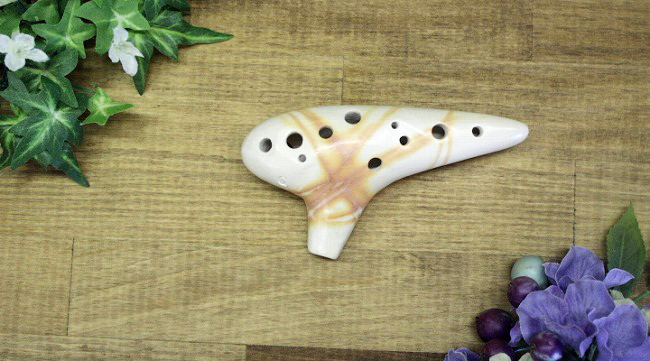 �X�I�J���i�@�\�v���mC