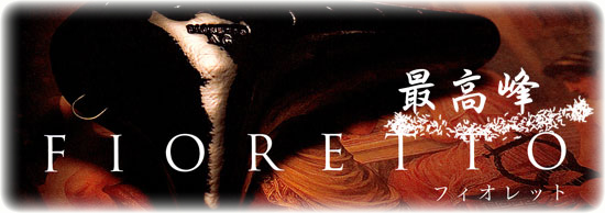 �ō���@�i�C�g�@�t�B�I���b�g