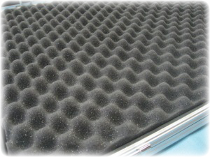 �I�J���i�P�[�X�@�t�^����