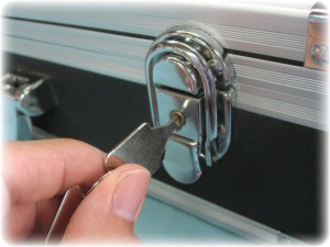 �I�J���i�P�[�X�@���t��