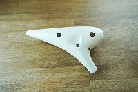 �I�I�T���I�J���i�@�}�b�g�z���C