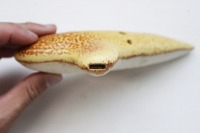 ������H�[�@�I�J���i�@4C�@�A���gC��