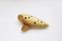 �i������H�[�j�I�J���i�TG�t�b�N�t��