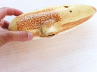 ������H�[�@�I�J���i�@�VC�@�o�XC��