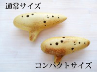 ������H�[�I�J���i�VC