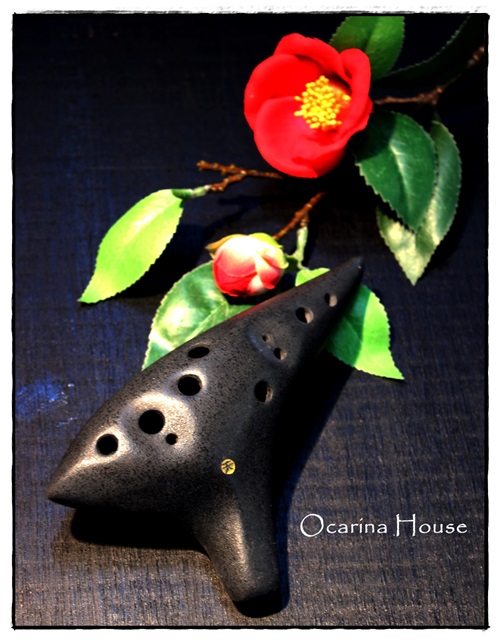 �iSORA�j�I�J���i�@