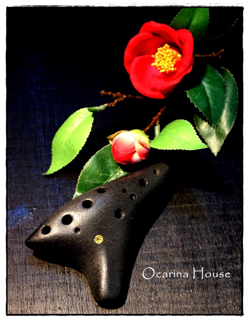 �iSORA�j�I�J���i�@�\�v���mG�ǁ@�F�{�����h�̍�i�@�y���X���i�ρz