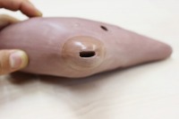 �i�T�E�U���h���[�u�X�j�I�J���i�@�A���gF�ǁ@��t���̍�i�@<<�Ǖi>>