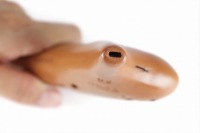 �I�I�T���I�J���i�@�\�v���mF��