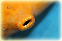 ���V�c�J�@�I�J���i�@�o�XC��