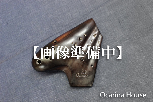 �I�I�T���I�J���i�i�g���v���j�A���gF�ǁy�i�`�������d�グ�z