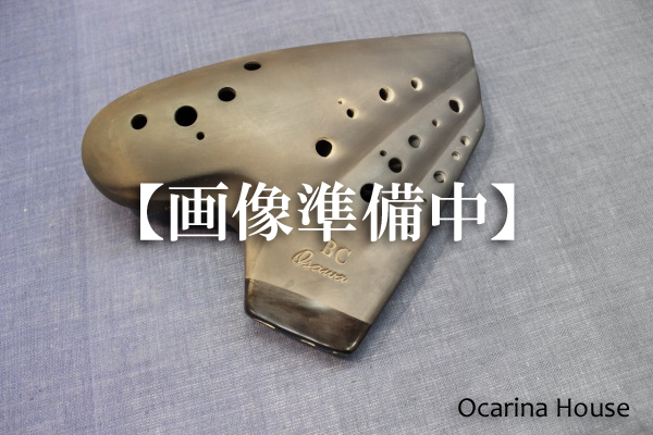 �I�I�T���I�J���i�i4�A�ǁj�o�XC�ǁy�i�`�������d�グ�z