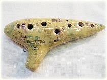 �A�P�^�I�J���[�i