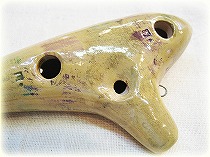 �A�P�^�I�J���[�i